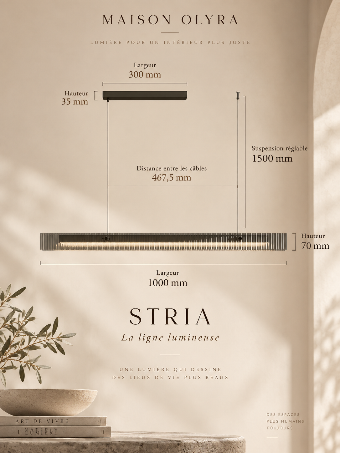 Stria