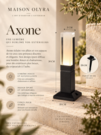 Axone