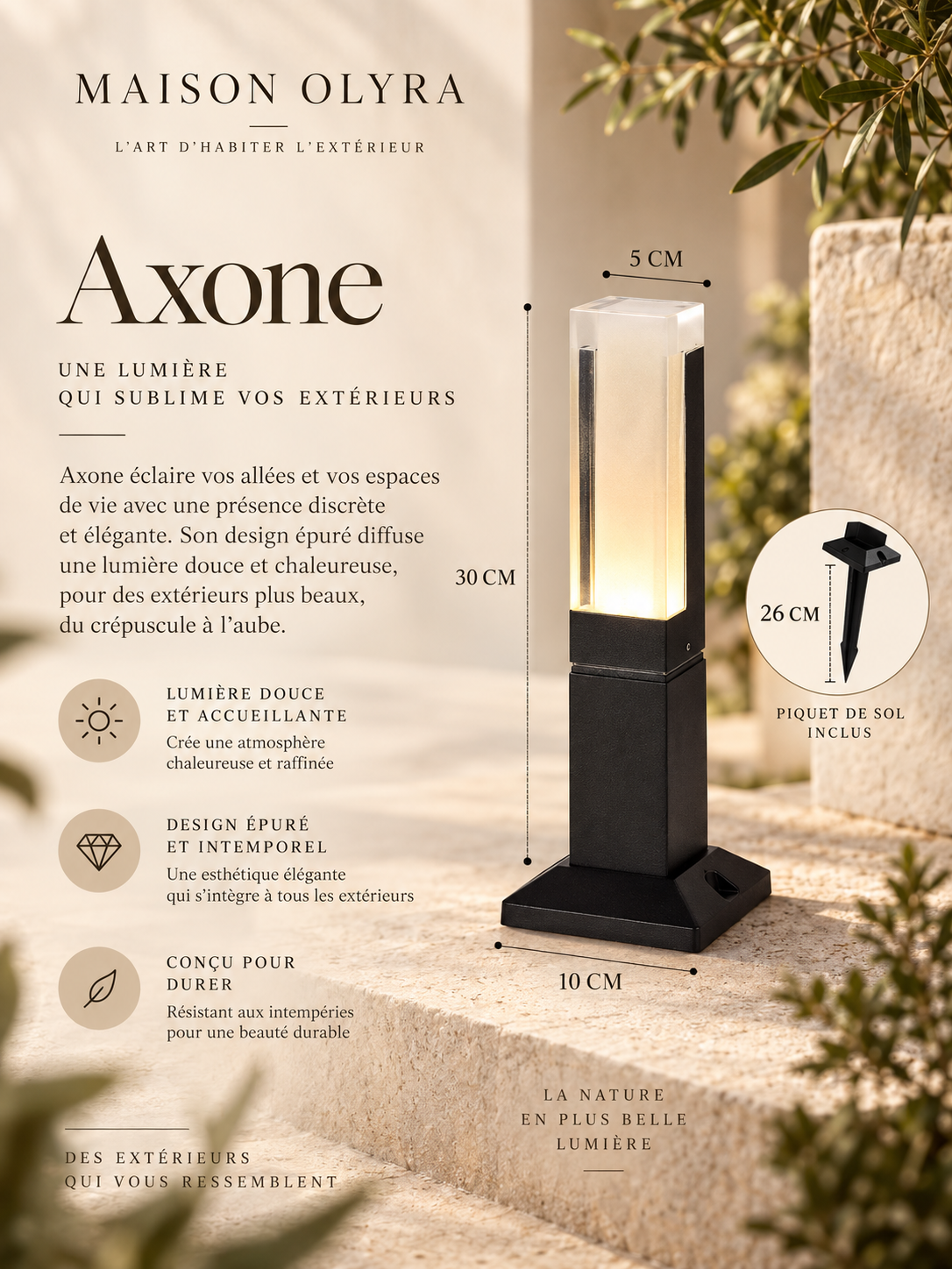 Axone