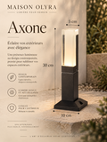 Axone