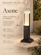 Axone