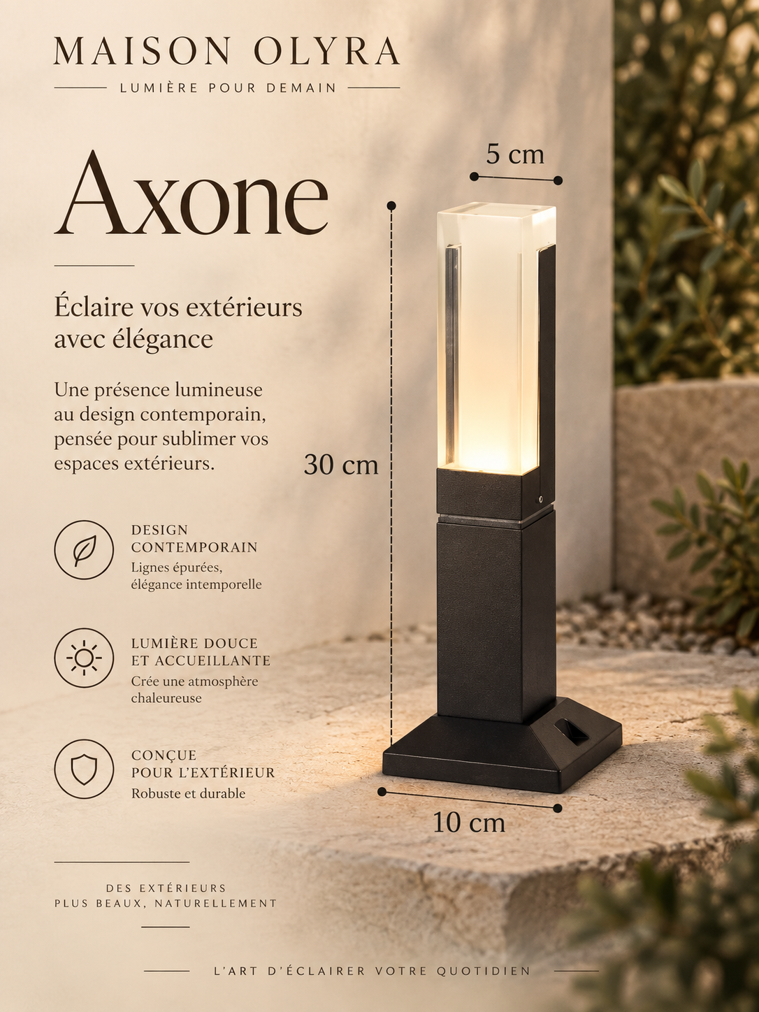 Axone